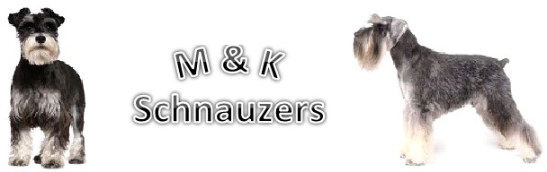 MandK Schnauzers Logo